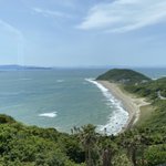 ツイートに含まれる画像