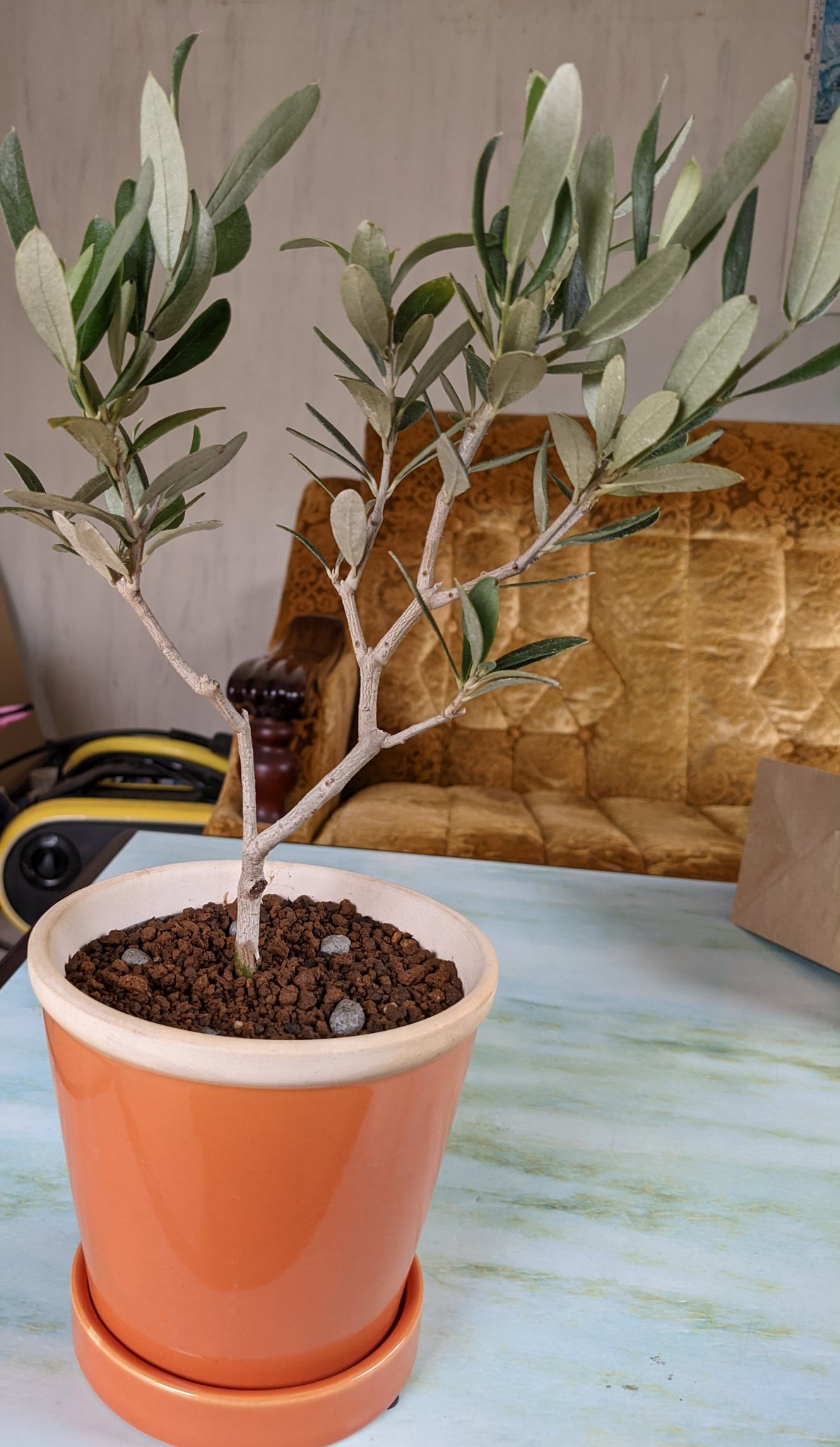 奥村篤史 アルファ エクスプレス社労士事務所 名古屋駅近くの素敵な社労士事務所 Sr Atsushi930 Twitter