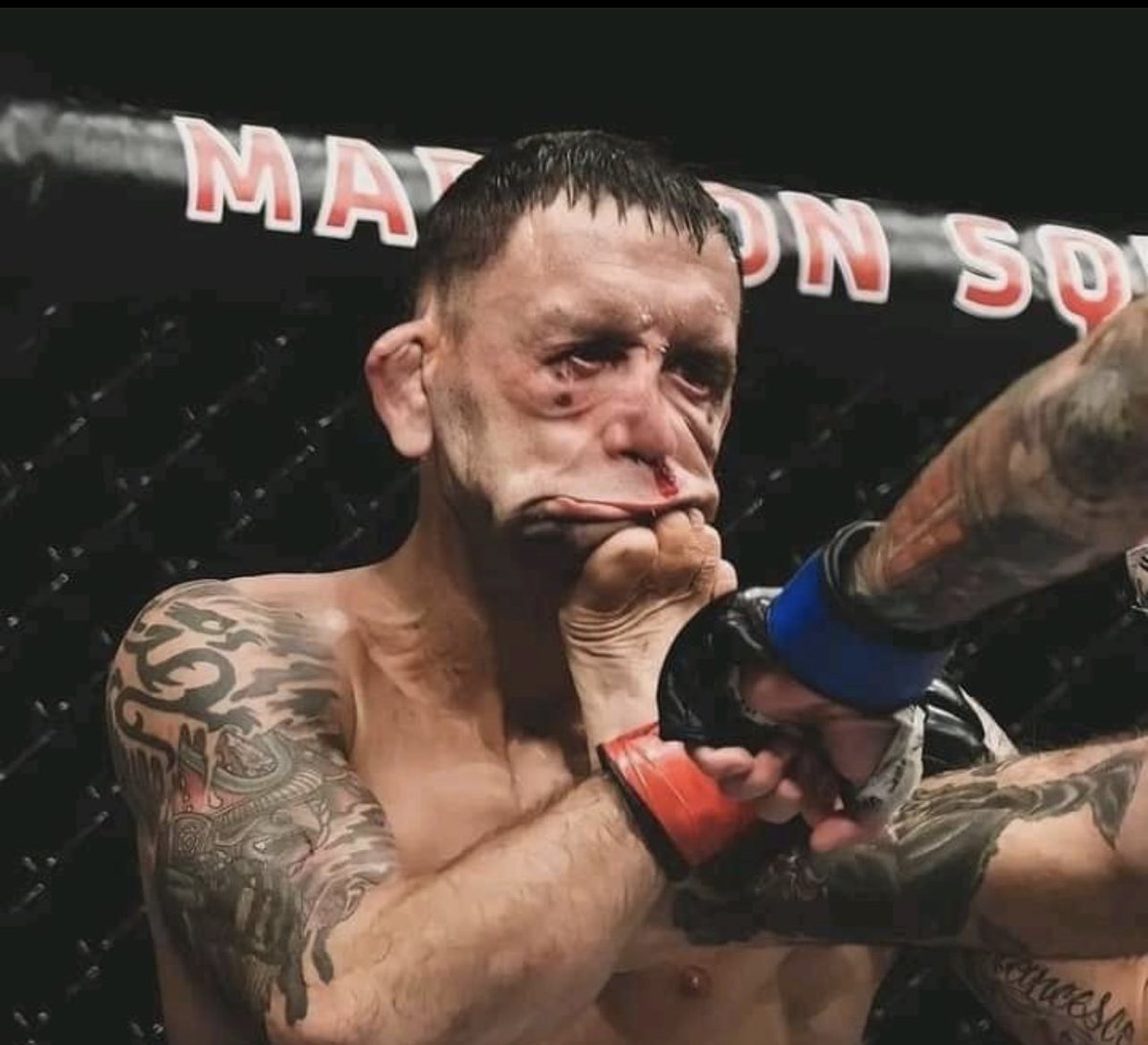 BlackHulkBulk's tweet photo. On behalf of all MMA fans can yall stop Front Kicking our heroes into Muppets? Thank you #UFC274 #tonyferguson #MMATwitter #DanaGate https://t.co/xu4Zy5EvjI