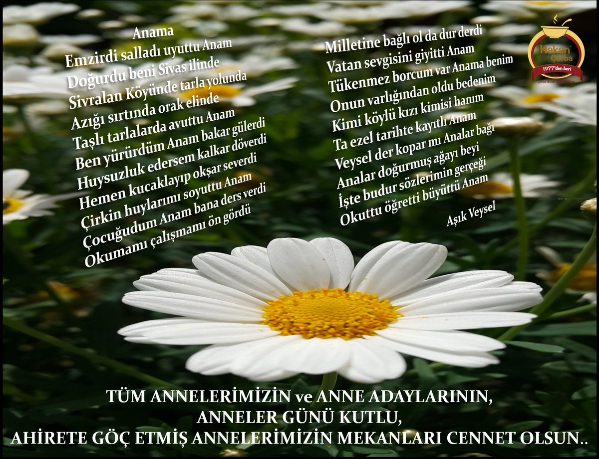 #annelergunu #annelergunukutluolsun