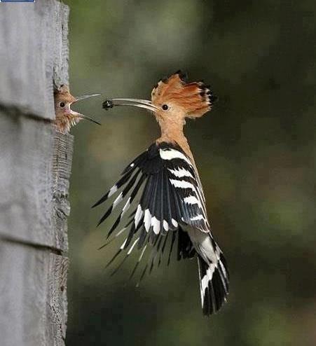 Science Products Distributor tweet media