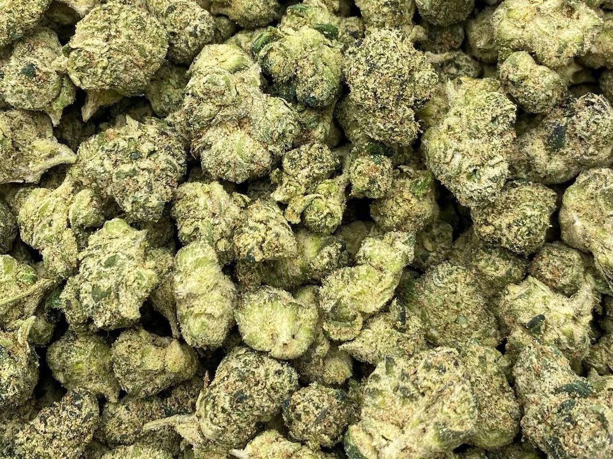 Happy_Paxx's tweet photo. #Gelato45 #WhiteWidow #JetFuel #Mimosa #JungleBreath #HappyPacksOrNoPacks #HPONP https://t.co/9L3GX6BeXO