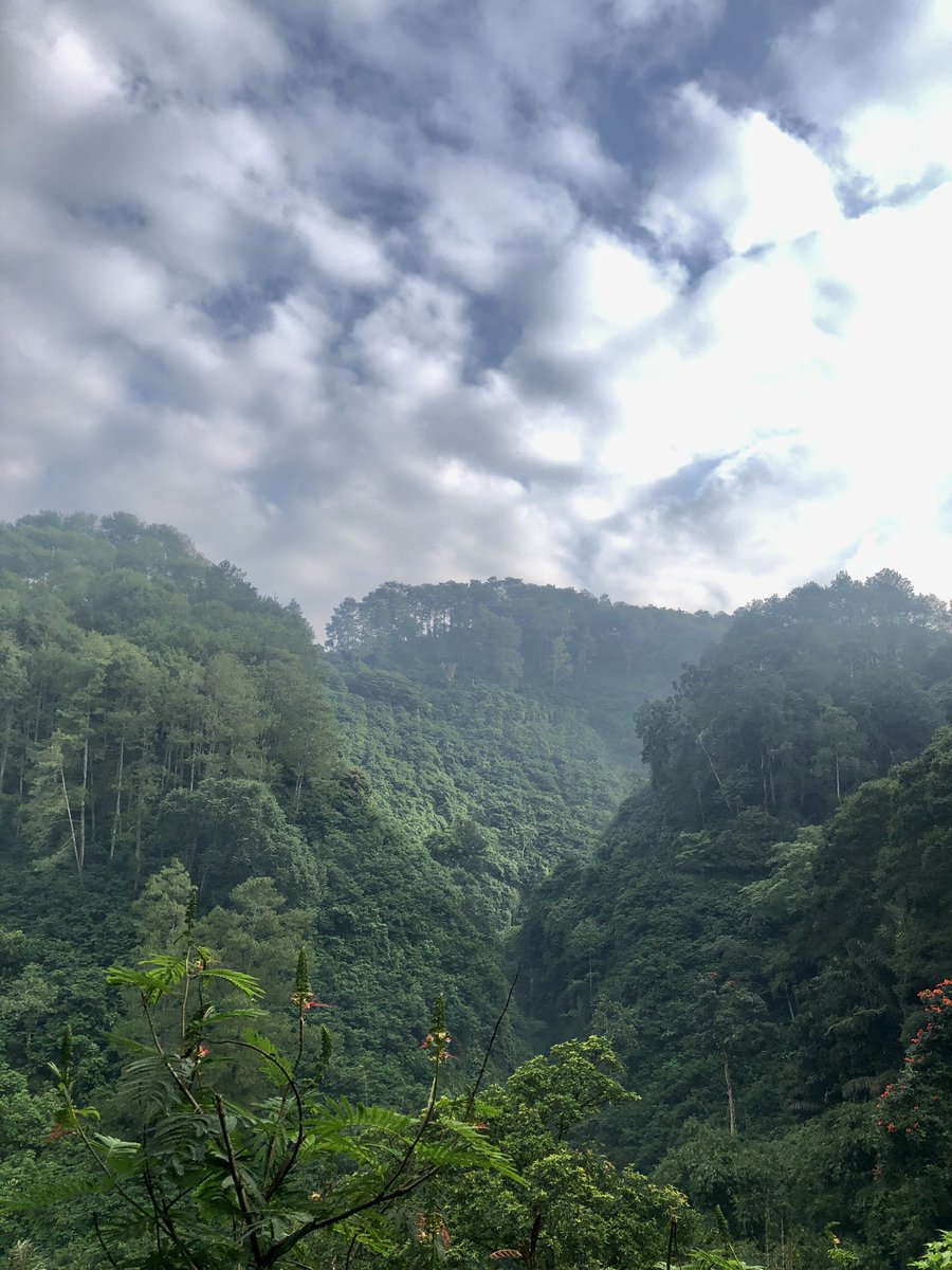 lumayan lah bakar lemak sambil liat yg ijo2