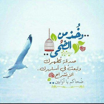 ✿ .⇣『💜』⇣ . ✿

لَو فُتِحَت لَكَ أَستارُ الغيب لَأحبَبتَ حُزنَك، وَلَو رَأَيتَ كَيفَ يُغرَفُ لِلصَّابِرِ غرفَاً مِنَ الثّوَابِ لَانتَشَى قلبُكَ وَتَلَذذتَ بِكلّ وَخزةِ أَلَم!

📝ابن الجَوزي

#الضحى ⛅

╭┈─────── ೄྀ࿐ ˊˎ-
╰┈➤ ❝[ نلتقيـﮯ لنرتقيـﮯ💜 🌸🍃] ❞