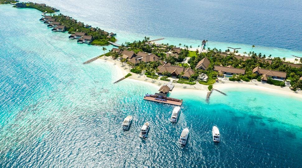 HolidayOfferMv's tweet photo. 11 Reasons To Visit Waldorf Astoria Maldives Ithaafushi Right Now https://t.co/GWRfTky7tI
#Maldives #Holiday #Offer #Honeymoon #Resort #Guesthouse #Beach #WaterVilla https://t.co/byIfIxQpGW