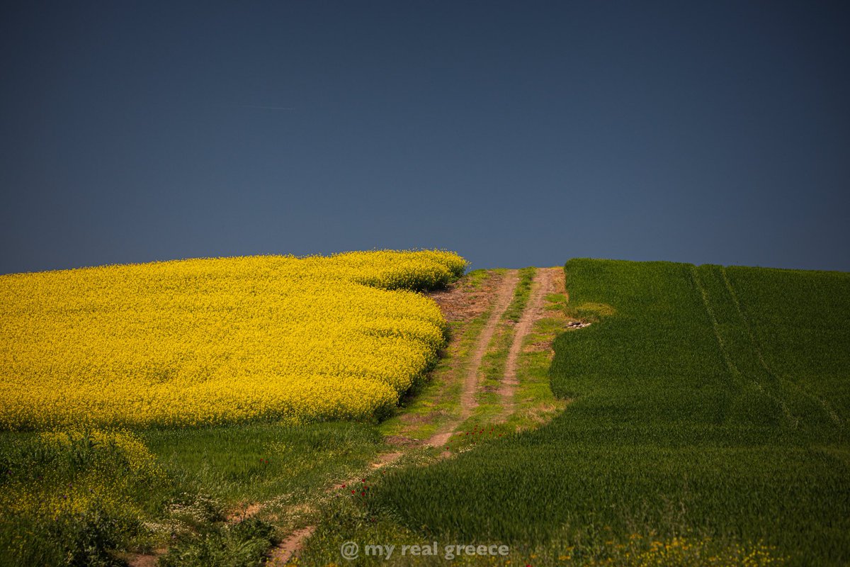 MyRealGreece's tweet photo. Thessaly landscape 🇬🇷

@DigitalCameraW @BHPhotoVideo @PhotographosMag @AthensVoice @euronews @VisitGreecegr @TripAdvisor @NatGeoPhotos @BBC_Travel @AthensAirport @NChatzinikolaou @Airbnb @StefTsitsipas @Giannis_An34 @trivago @lufthansa @GuardianTravel @emirates @bookingcom @CNN https://t.co/jaoMDe2AA0