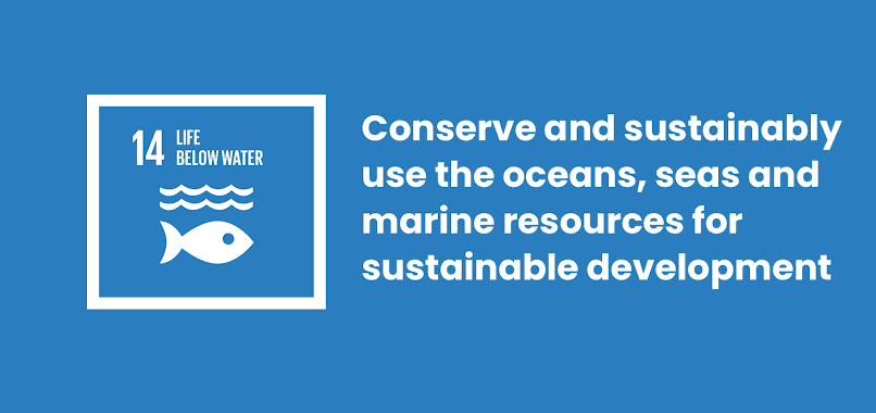 #Goal14
#lifebelowwater 
#SDGs 
#Globalgoals
@ConnectAID_int 
Goal 14. Conserve and sustainably use the oceans, seas and marine resources for sustainable development.
