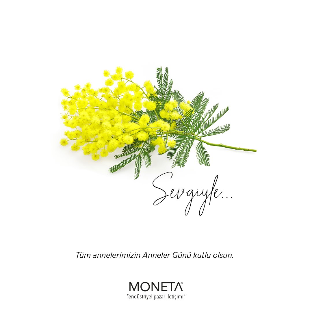 monetatanitim's tweet photo. Karşılıksız sevginin, fedakarlık ve merhametin en saf hali tüm annelerimizin Anneler Günü kutlu olsun. 

#Monetatanıtım #annelergünü https://t.co/sm4ZUeBdKf
