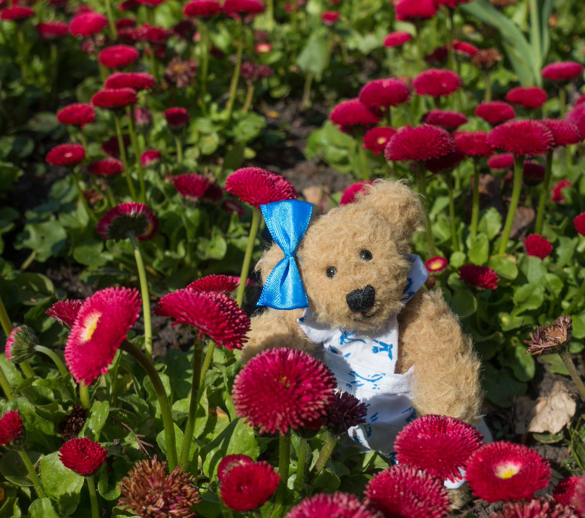 Happy Sunday dear friends. 😘🌸