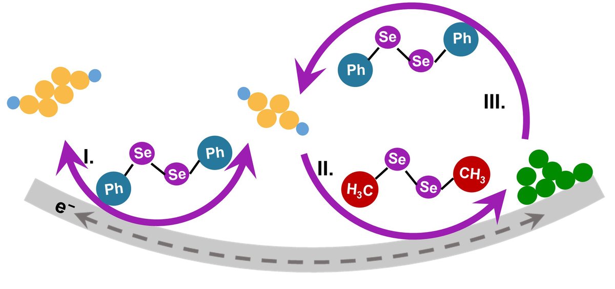 eScience_NKU's tweet photo. Research: Promoting the sulfur redox kinetics by mixed organodiselenides in high-energy-density lithium–sulfur batteries https://t.co/ciyPpLUTM3 https://t.co/qJU1oTj8wF