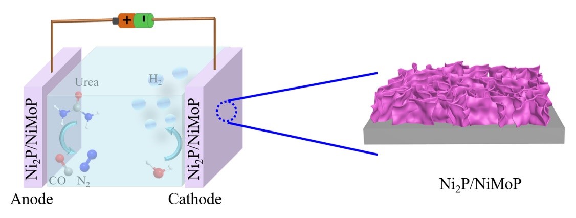 eScience_NKU's tweet photo. Research: Ni2P/NiMoP heterostructure as a bifunctional electrocatalyst for energy-saving hydrogen production https://t.co/p07QBDoKGt https://t.co/JGTd48tsPN