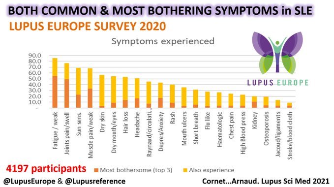Laurent ARNAUD (@lupusreference) on Twitter photo ✅ May is #lupusawareness month
Re(check) the most common and most bothering #symptoms in #Lupus. Figure ⬇️ from a very interesting research paper 📄 I did with <a href="/LupusEurope/">Lupus Europe</a> (downloadable 📥 for free at: lupus.bmj.com/content/lupuss…).
❌ WHICH one is YOUR most bothering symptom❓ ✅ May is #lupusawareness month
Re(check) the most common and most bothering #symptoms in #Lupus. Figure ⬇️ from a very interesting research paper 📄 I did with <a href="/LupusEurope/">Lupus Europe</a> (downloadable 📥 for free at: lupus.bmj.com/content/lupuss…).
❌ WHICH one is YOUR most bothering symptom❓