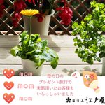 【筑波山江戸屋】のツイート画像