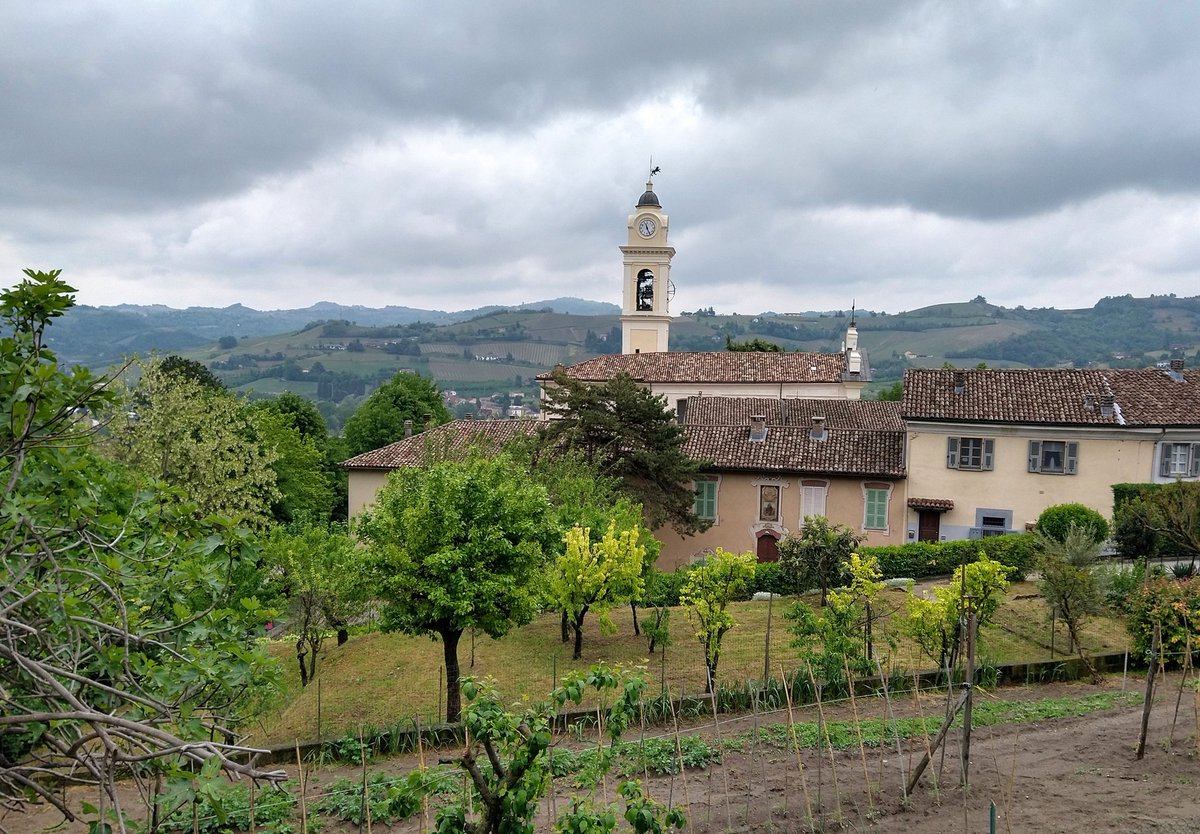 #buonadomenica a tutti dal #Piemonte
#canelli #visitpiemonte #postidelcuore #vino #amolamiaregione