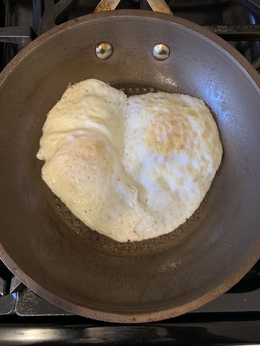 Misha Safran tweet media