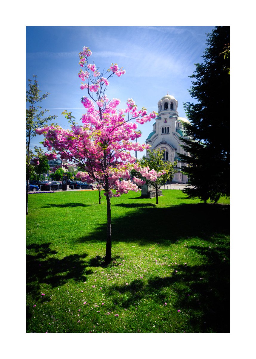 GutoX | Bits of Sand on Objkt 📸 tweet media