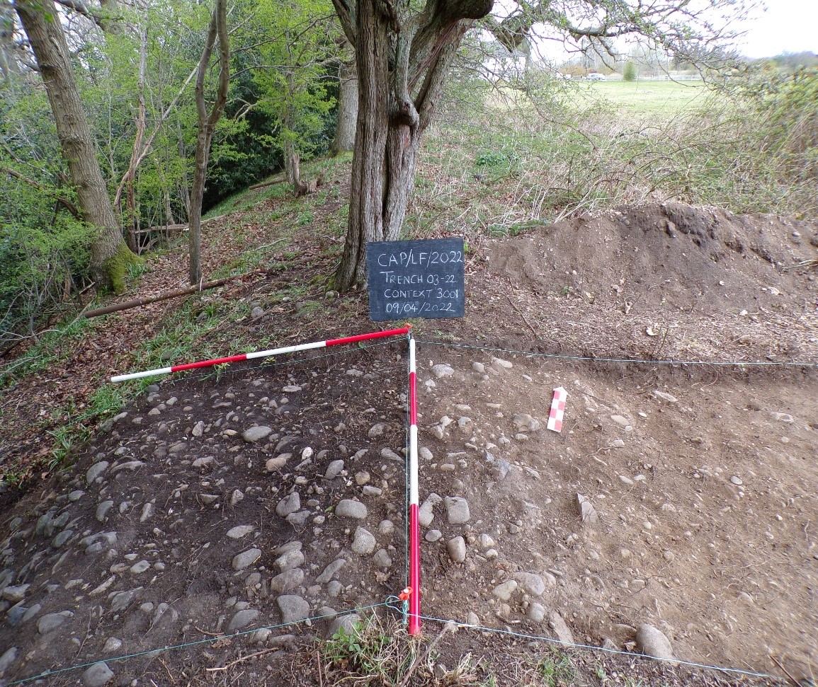 CaerAlyn Archaeology tweet media
