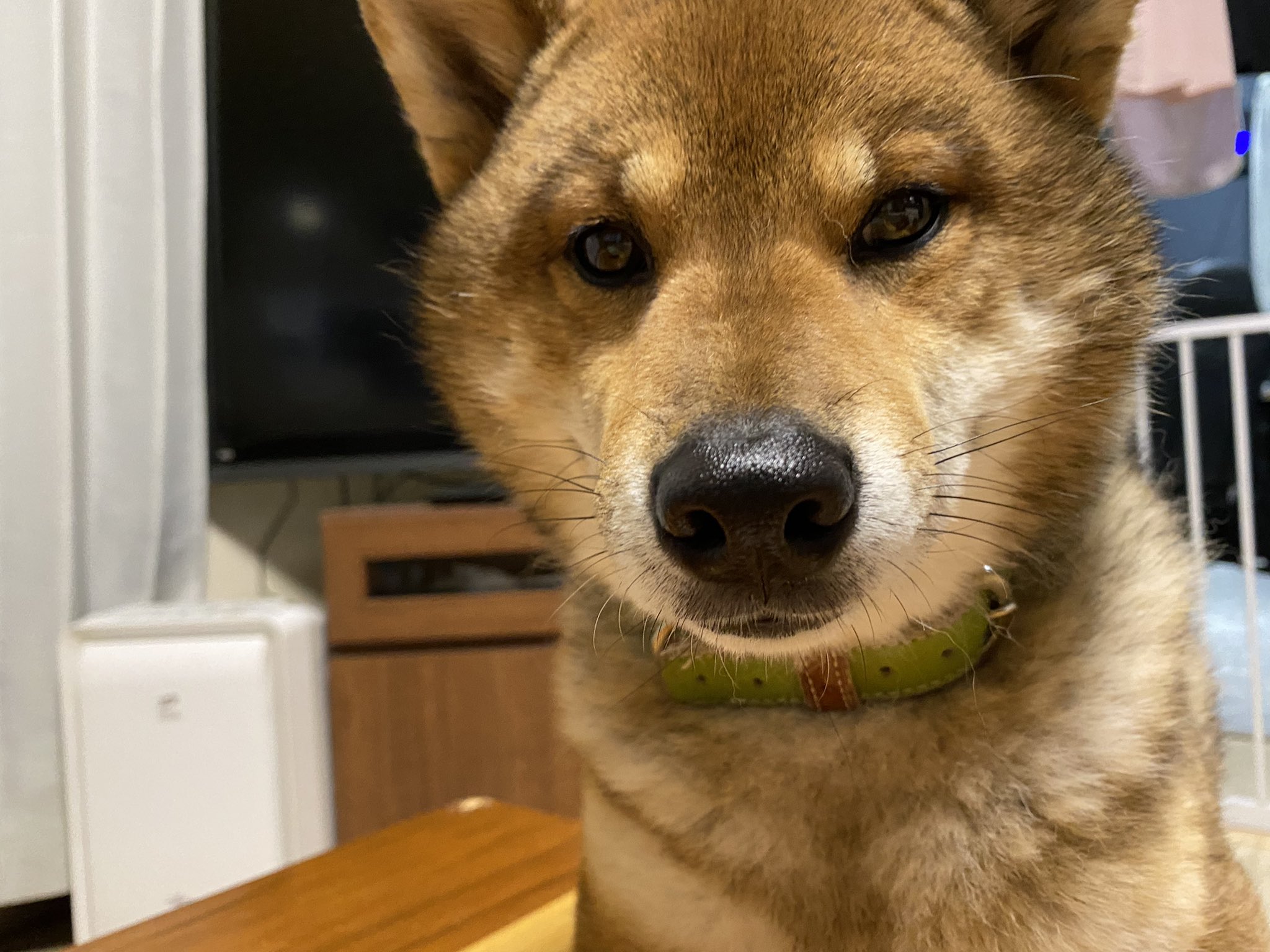 情動障害 Twitter Search Twitter