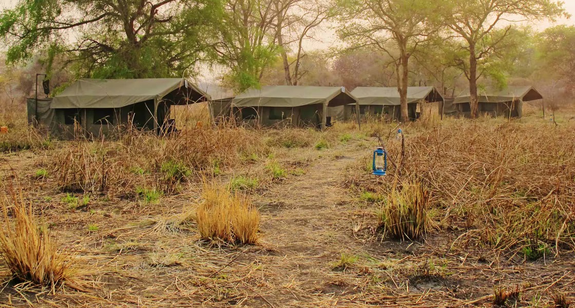Exoticethiopian's tweet photo. Project #03 Coming Soon!
Explore Ethiopia with @enku_mulugeta & @Exoticethiopian Gambella National Park
Its a place reserved for #trueexplorers. In a remote corner of southwestern Ethiopia, Gambella is only accessible via charter aircraft.
https://t.co/BEzCEyoiwg https://t.co/xJQwpdSuVg