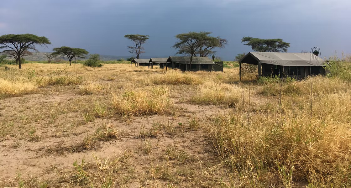 Exoticethiopian's tweet photo. Project #03 Coming Soon!
Explore Ethiopia with @enku_mulugeta & @Exoticethiopian Gambella National Park
Its a place reserved for #trueexplorers. In a remote corner of southwestern Ethiopia, Gambella is only accessible via charter aircraft.
https://t.co/BEzCEyoiwg https://t.co/xJQwpdSuVg