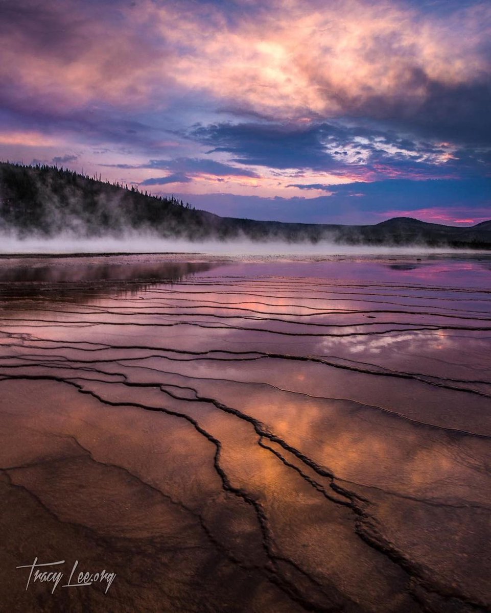 <a href="/manfredteh/">Manfred Teh</a> Does this count? GM!