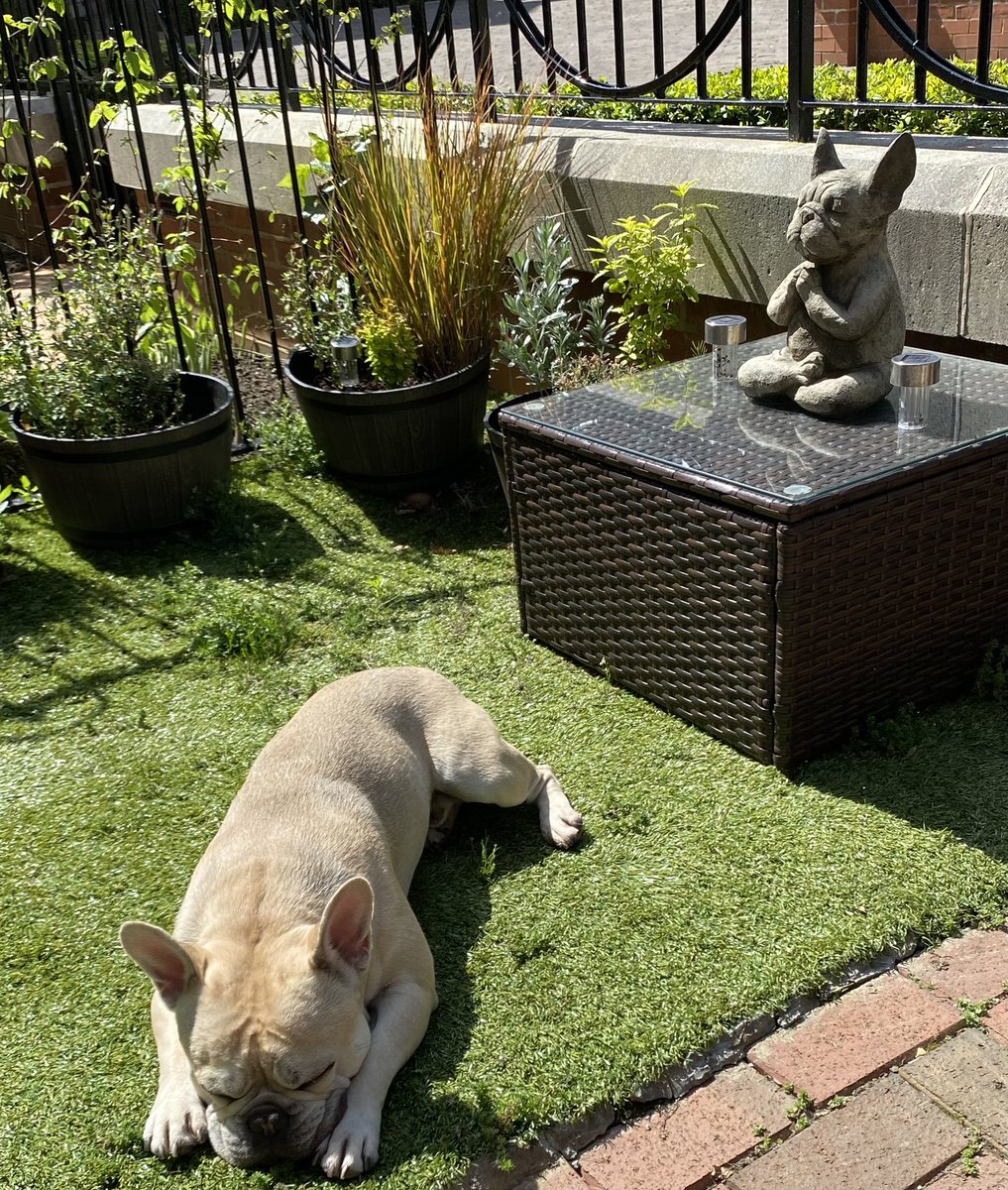 researchactive's tweet photo. #squeaksupdate : A day of Zen https://t.co/5DZdBcSUOP