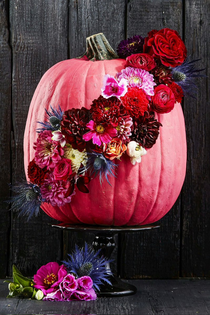 RJCrowtherJr's tweet photo. Happy Birthday (and Mother's Day), Jeanne! It's an honor and blessing to be your friend, my Queen of Halloween. May love surround you and fill your heart to overflowing. @1carolinagirl
💐🎃💗 https://t.co/qMIYJtrJwc
