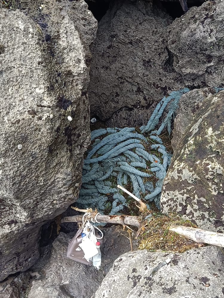 Koduor Nancy tweet media