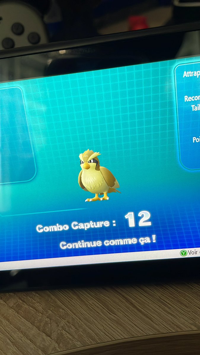 ArnoultAlexis's tweet photo. Je cherchais juste un insecateur depuis 1h 😭 #shinypokemon https://t.co/ahET4dcunS