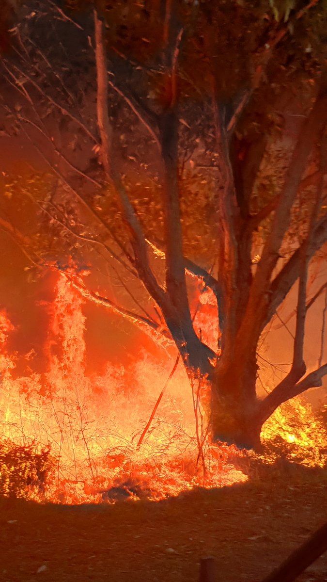 MEwarrior_au's tweet photo. @KSchnickelfritz Yes - lighting fires! It satisfied the pyromaniac in me. Now Iβm paying for it, but it was such fun while it lasted. This is the first day in months I was more able.
(We do this in Autumn to make it safer near our house in Summer.)
#BurningOff #AussieBush #BeBushfireSafe https://t.co/aAy5ul9JVM