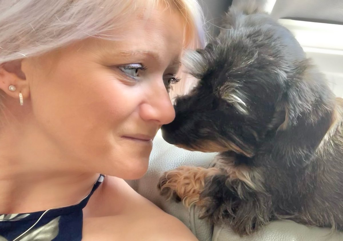 HuxandRosa's tweet photo. Mama and Bonnie are having hugs before Mama heads off for a few days. When Mama gets home, little Bonnie will have set off on her journey to join her family again for a new adventure. Mama β₯οΈ little Bonnie #love #littlevisitor #perfecthouseguest π₯° #wirehaireddachshund https://t.co/W0KHBZP2y8
