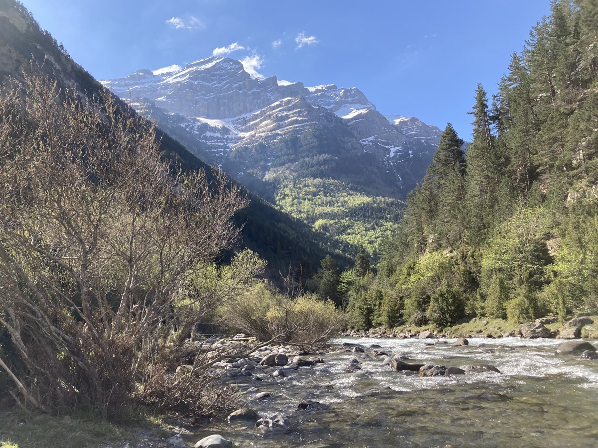 slaplana_tve's tweet photo. Así luce hoy el valle de Bujaruelo, para mí, uno de los lugares más bonitos de la provincia de Huesca. https://t.co/g6XdcJMgkK