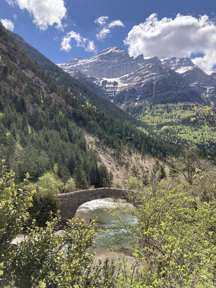 slaplana_tve's tweet photo. Así luce hoy el valle de Bujaruelo, para mí, uno de los lugares más bonitos de la provincia de Huesca. https://t.co/g6XdcJMgkK