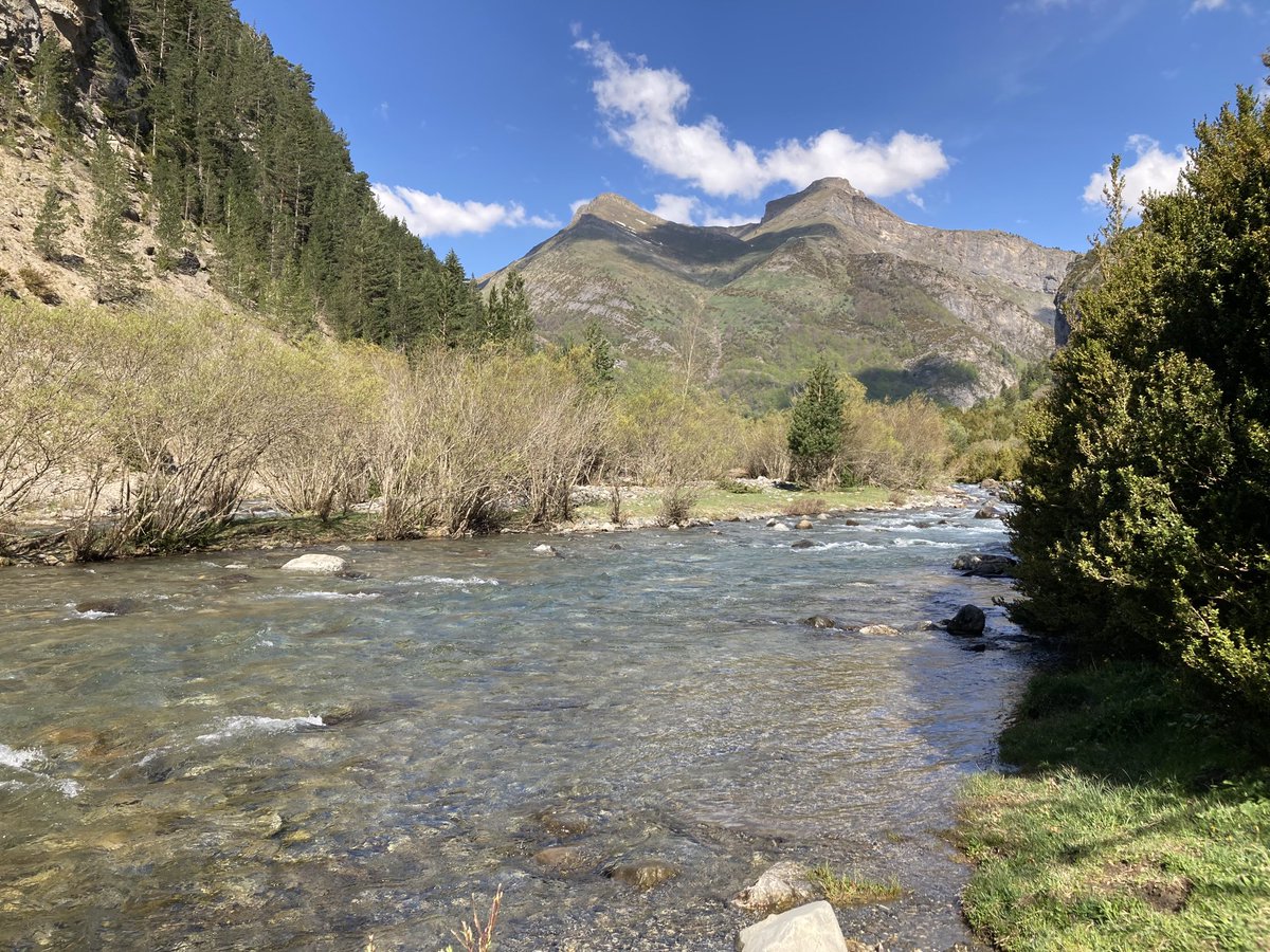 slaplana_tve's tweet photo. Así luce hoy el valle de Bujaruelo, para mí, uno de los lugares más bonitos de la provincia de Huesca. https://t.co/g6XdcJMgkK