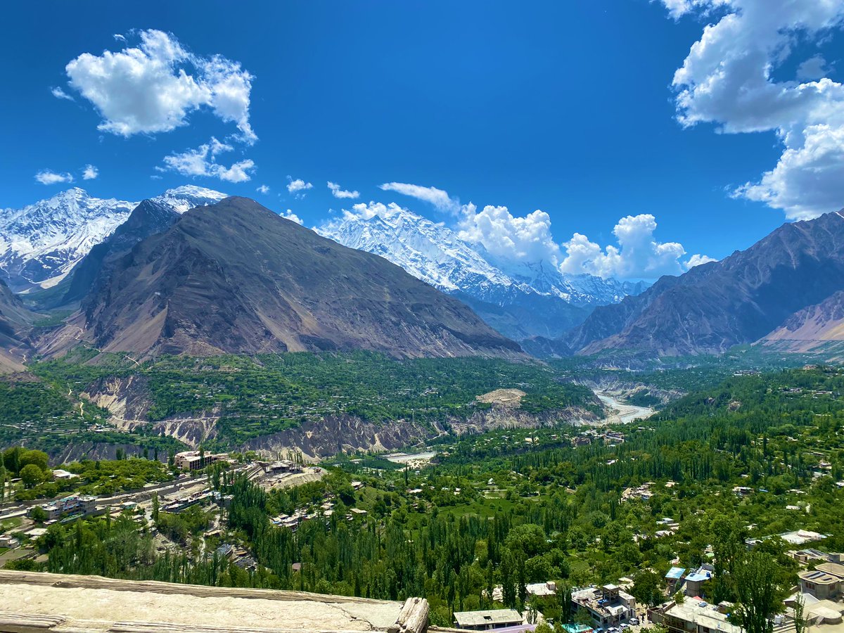 Jaegar🇵🇸🇺🇸🇵🇰 tweet media