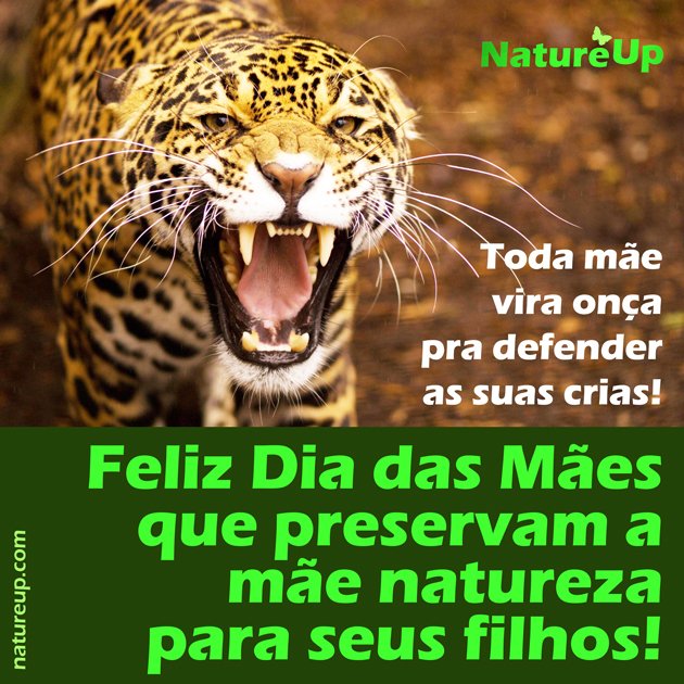 NatureUp's tweet photo. Compartilhe nossa homenagem ao Dia das Mães!

#sustentabilidad #sustentabilidade #diadasmaes https://t.co/HLfllnzmLc