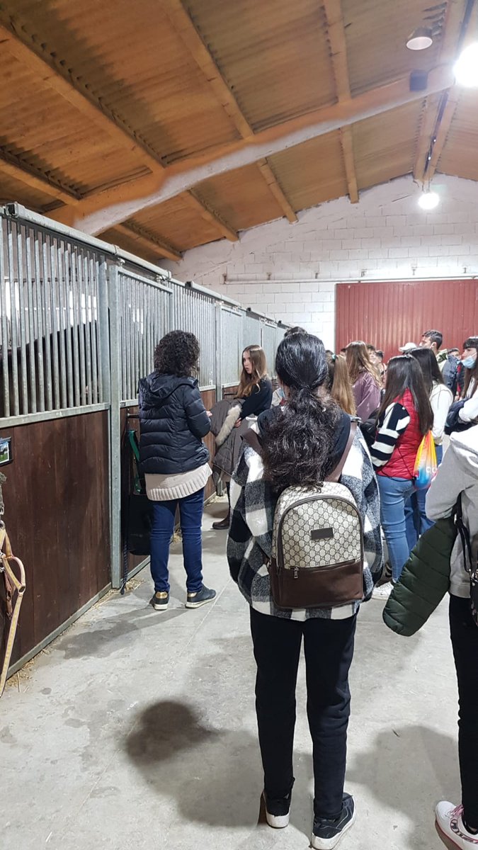 IESO Pinares de Pedrajas tweet media