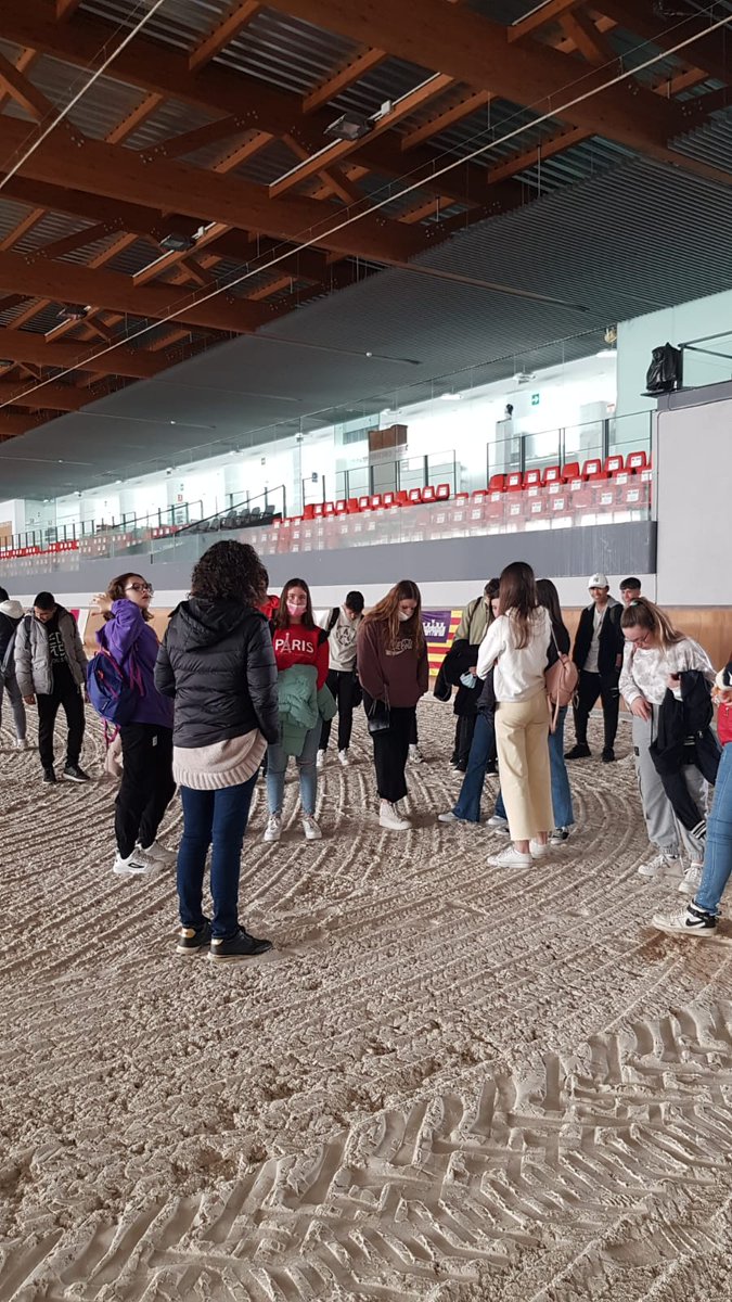 IESO Pinares de Pedrajas tweet media