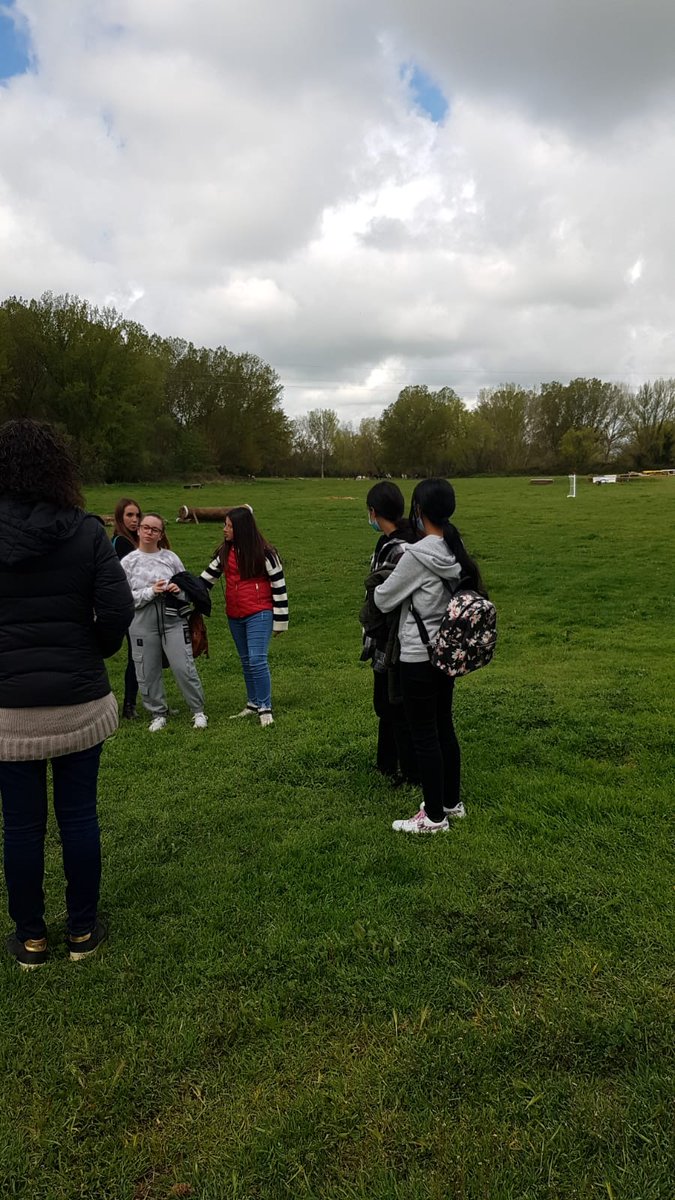 IESO Pinares de Pedrajas tweet media