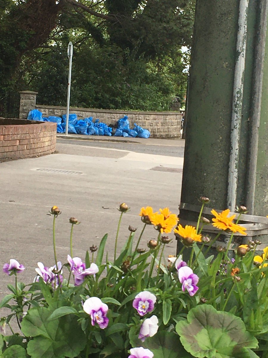 We are a group of local residents doing our bit to keep Glasnevin Village looking its best. We work together on the second and fourth Saturdays of each month from 10am starting from beside the XL shop on Glasnevin Hill. Next workday is this Saturday 14th May!