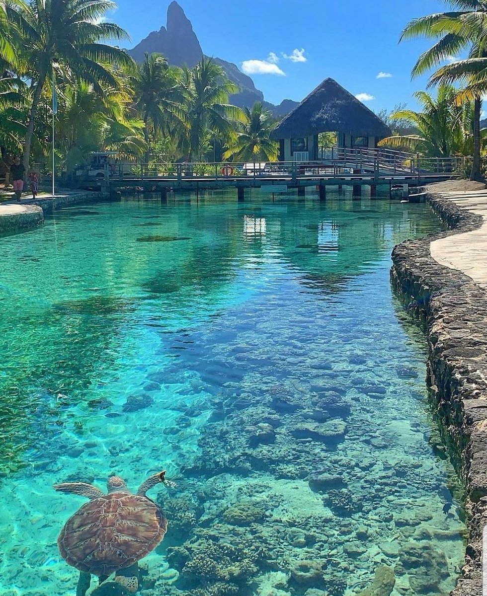 _LindsCola's tweet photo. Life is good 😎 #nft #jungle #vacation https://t.co/uhwva6YMYL