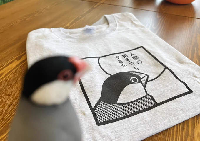 ありがとう文鳥 