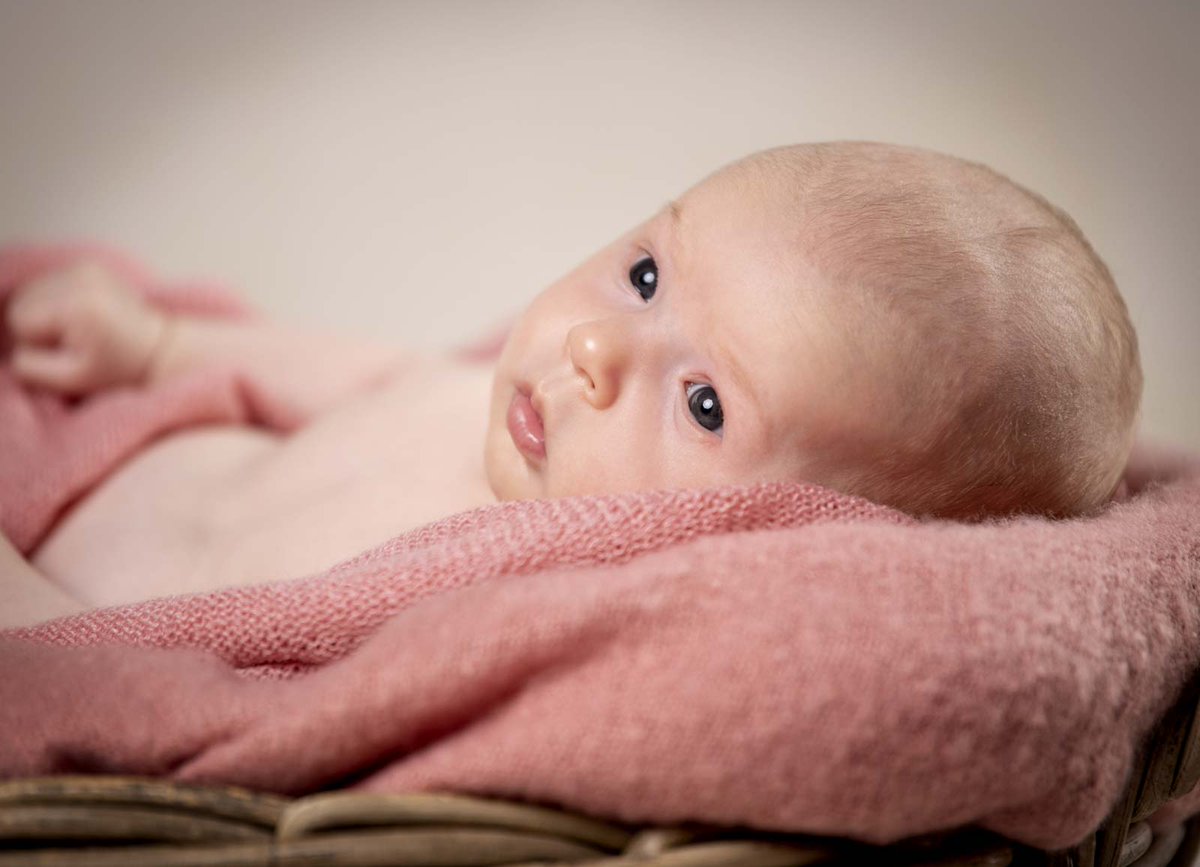 PeterLauritis's tweet photo. Bist du gerade schwanger und erwartest in Kürze ein Baby und möchtest diese besondere Zeit mit einem Babybauch Fotoshooting bildlich festhalten? Möchtest du außerdem wunderschöne Newbornfotos von deinem kleinen Schatz nach der Geburt?  #Arnshain

https://t.co/zrXF4huP9p https://t.co/nMexwttQR7