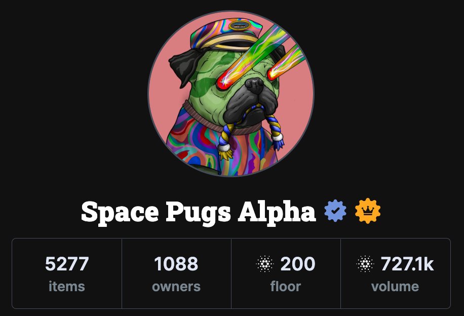 SPACE PUGS tweet media