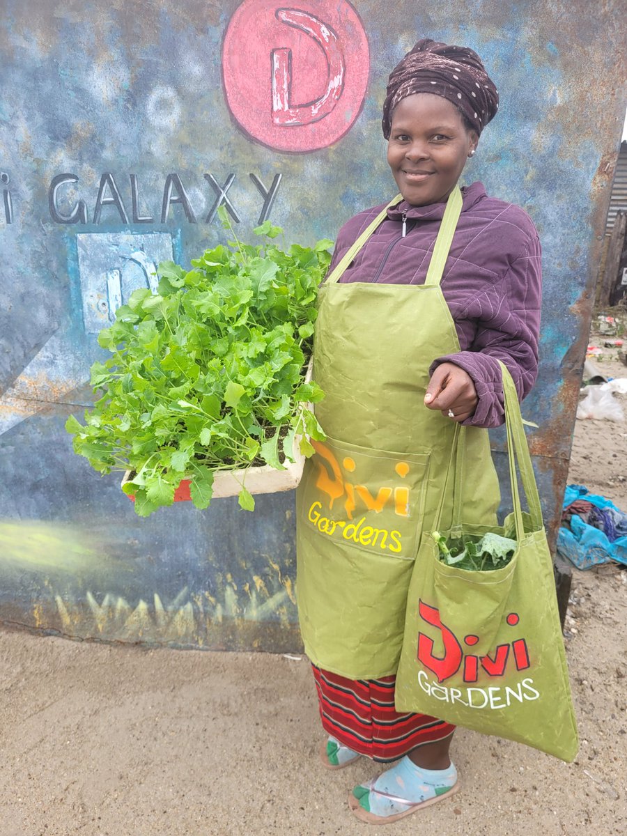 Everything starts in the garden 
<a href="/DiviProject/">Divi Project</a> 
<a href="/DiviEspana/">diviespaña.eth 🇪🇸</a> 
<a href="/divinfty/">Divinfty</a> 
@gerlofw