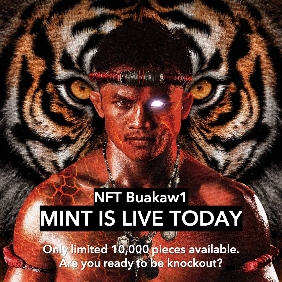 Buakaw1 tweet media