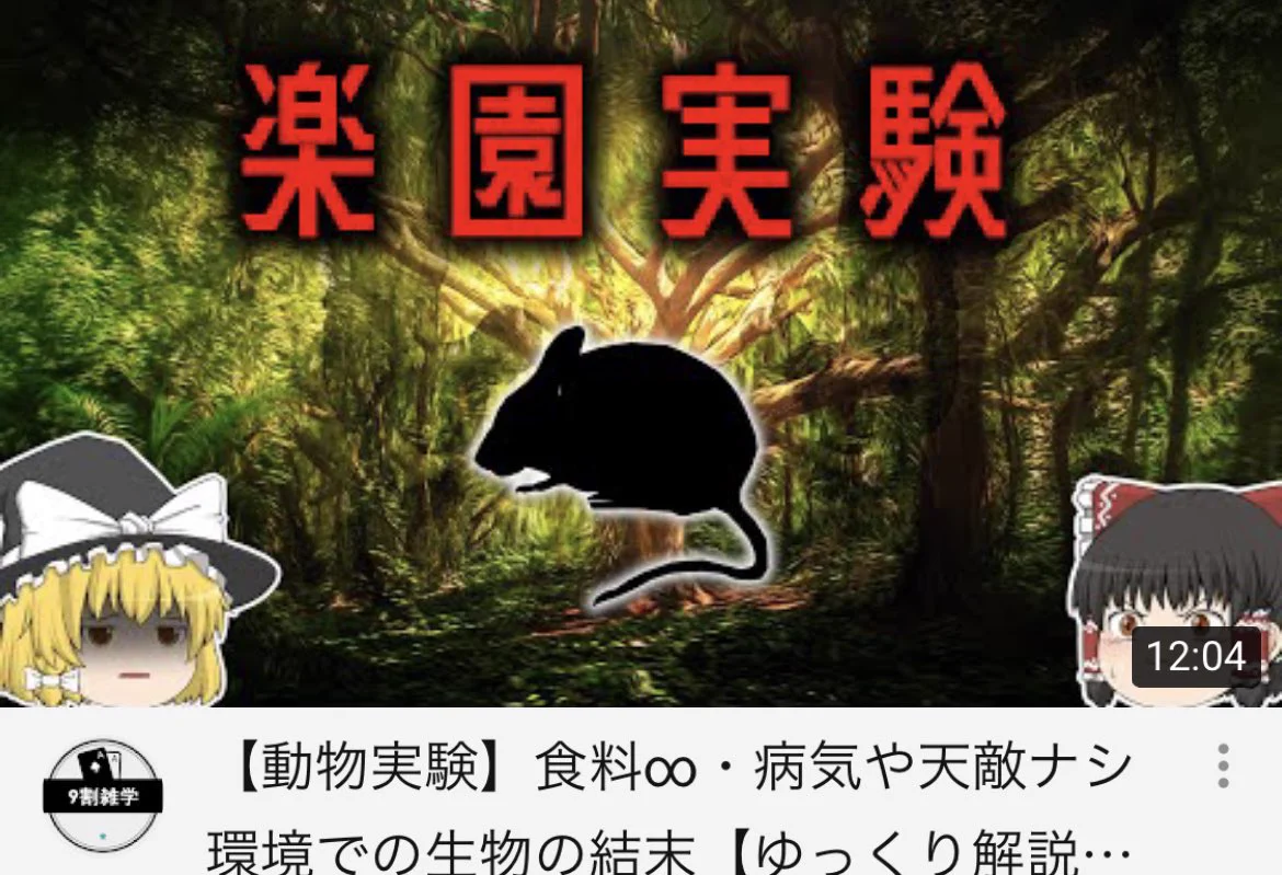 【必見：動物実験】何不自由なく外敵もおらず食料も十分な環境で🐁はどうなったのか？
日本の現状と同じに思えた。このまま出生数が減ると国は滅びますね。一気に見てしまったけど興味深い動画でした。
#ユニバース25 
