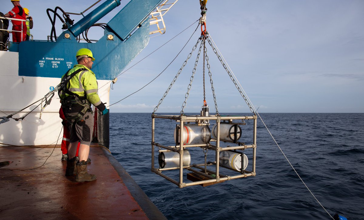 cemfle's tweet photo. First baited #deepsea #amphipod traps of #JC231 have gone in at the #PAPobservatory this morning! Can't wait to see what we get tomorrow! #DarwinTreeOfLife https://t.co/RTjPmU95m8