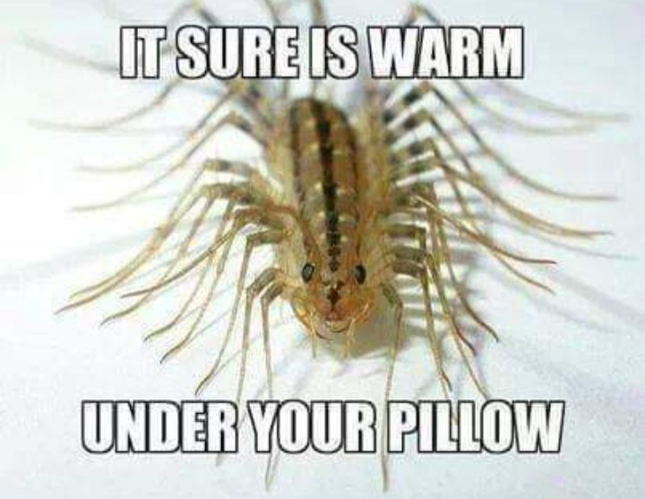 sabatoge's tweet photo. I call it a nope,..
 nope not going by it..
I'll move I don't care lol

@ChrisMotionless https://t.co/MXXMMoP6my