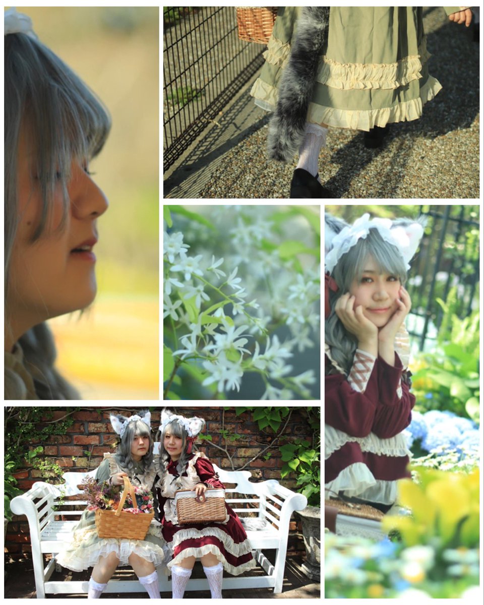 ※cos

       春の光  春の風

photo&amp;produce：<a href="/RINNE_camera/">RINNE</a>